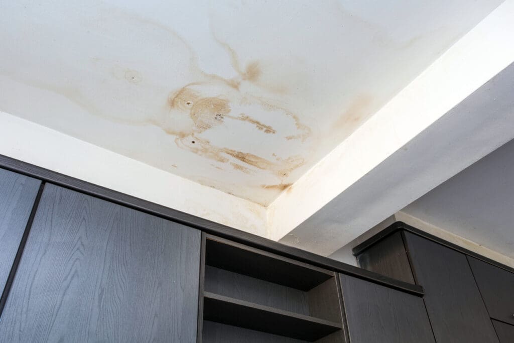 Roof Leak Damage